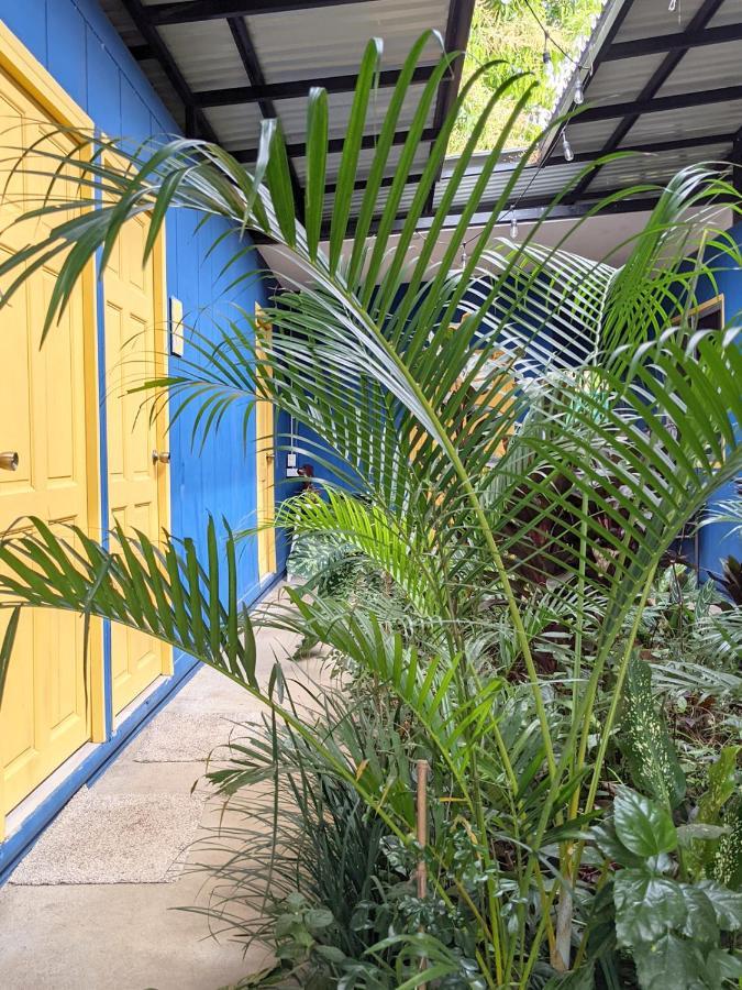 Guesthouse Congo Tempisque ลิเบเรีย ภายนอก รูปภาพ